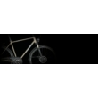 KTM LIFE STYLE 2022 oak satine (dark chrome) Trapéz női trekking kerékpár
