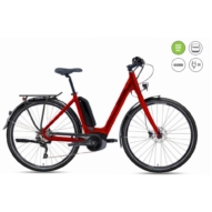 Gepida Reptila 800 Altus 7 400 2021 elektromos kerékpár